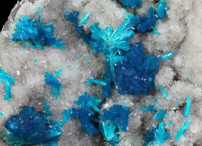 Vibrant Blue Cavansite Clusters on Stilbite - India #64806